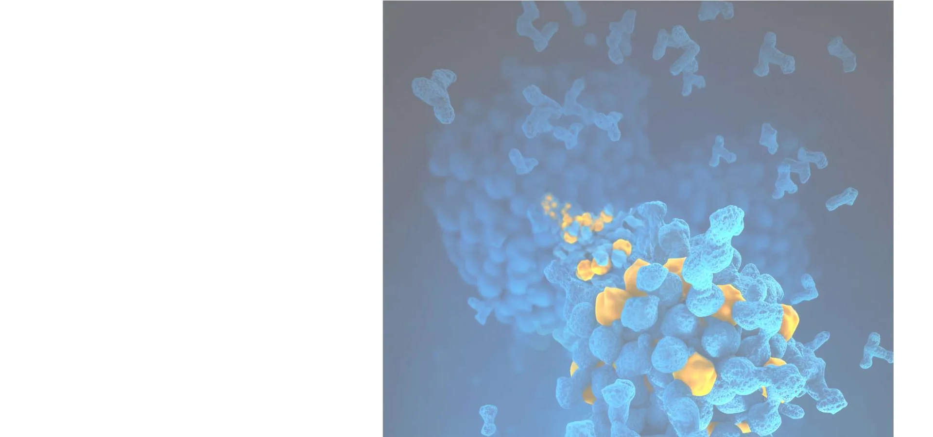 Nanopartículas de cobre actuando sobre bacterias